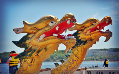 Dragons in Vladivostok